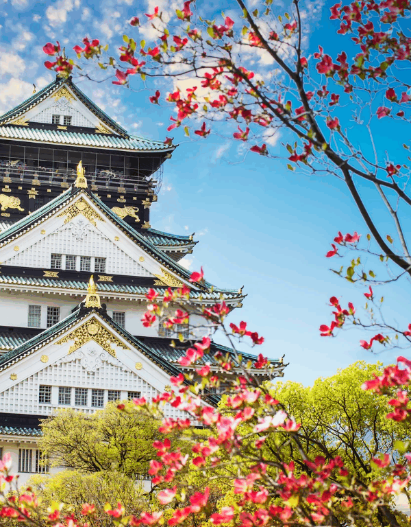 Captura de pantalla 2025-05-05 a la(s) 12.56.41 p.m.